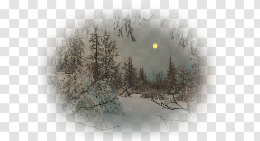 Full Moon Snow Winter Polar Night Transparent PNG