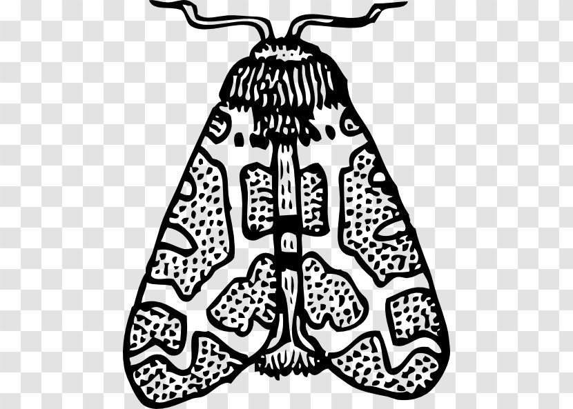 Butterfly Moth Clip Art - Symmetry - Cliparts Transparent PNG