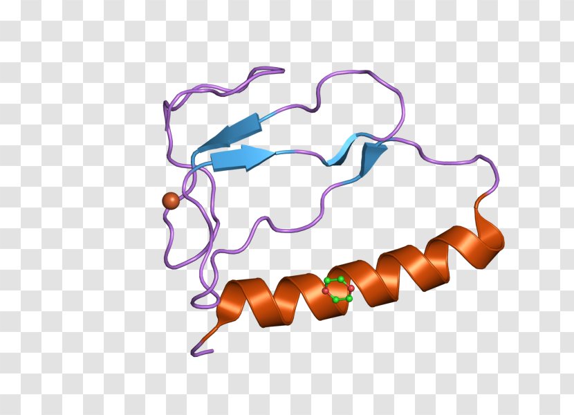 Insulin-like Growth Factor-binding Protein IGFBP1 Factor 1 IGFBP3 - Insulinlike Factorbinding Transparent PNG