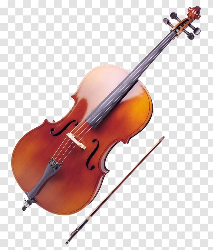 Cello Violin Viola Musical Instrument String - Flower - High Pressure Transparent PNG