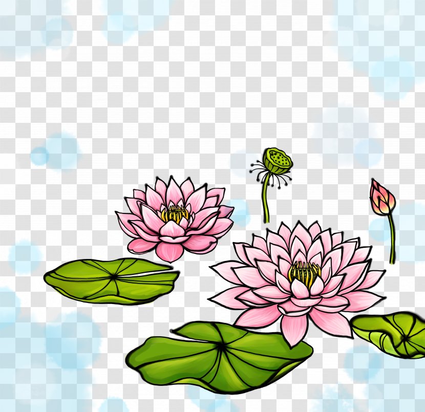 Nelumbo Nucifera Watercolor Painting Illustration - Cdr - Hand-painted Lotus Transparent PNG