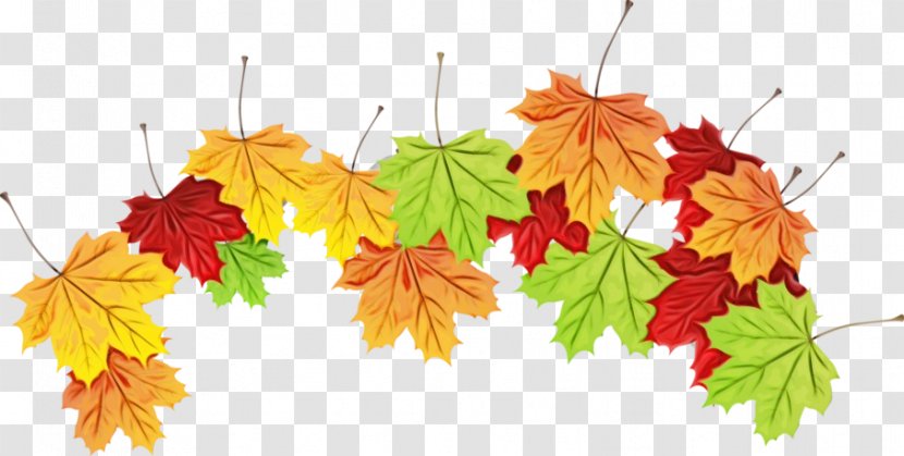 Autumn Leaves Watercolor - Plant - Grape Silver Maple Transparent PNG