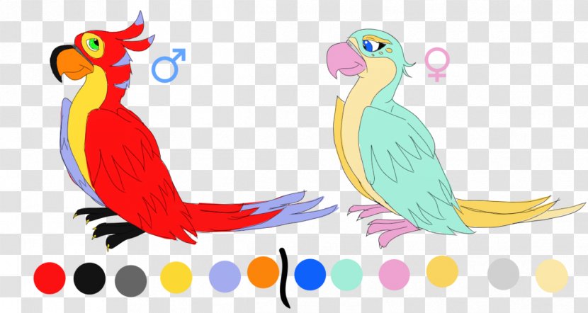 Macaw Parrot Beak Feather - Fauna Transparent PNG