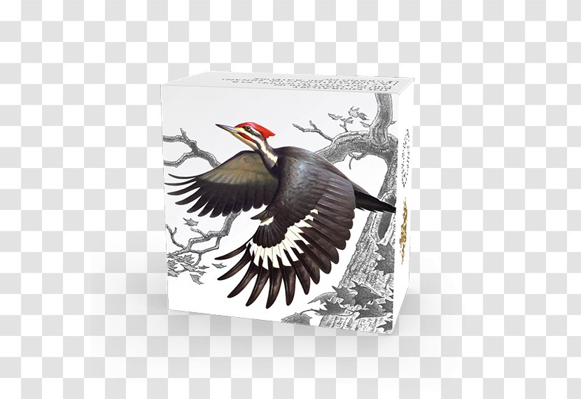 Migratory Birds Convention Act Woodpecker Bird Treaty Of 1918 Transparent PNG