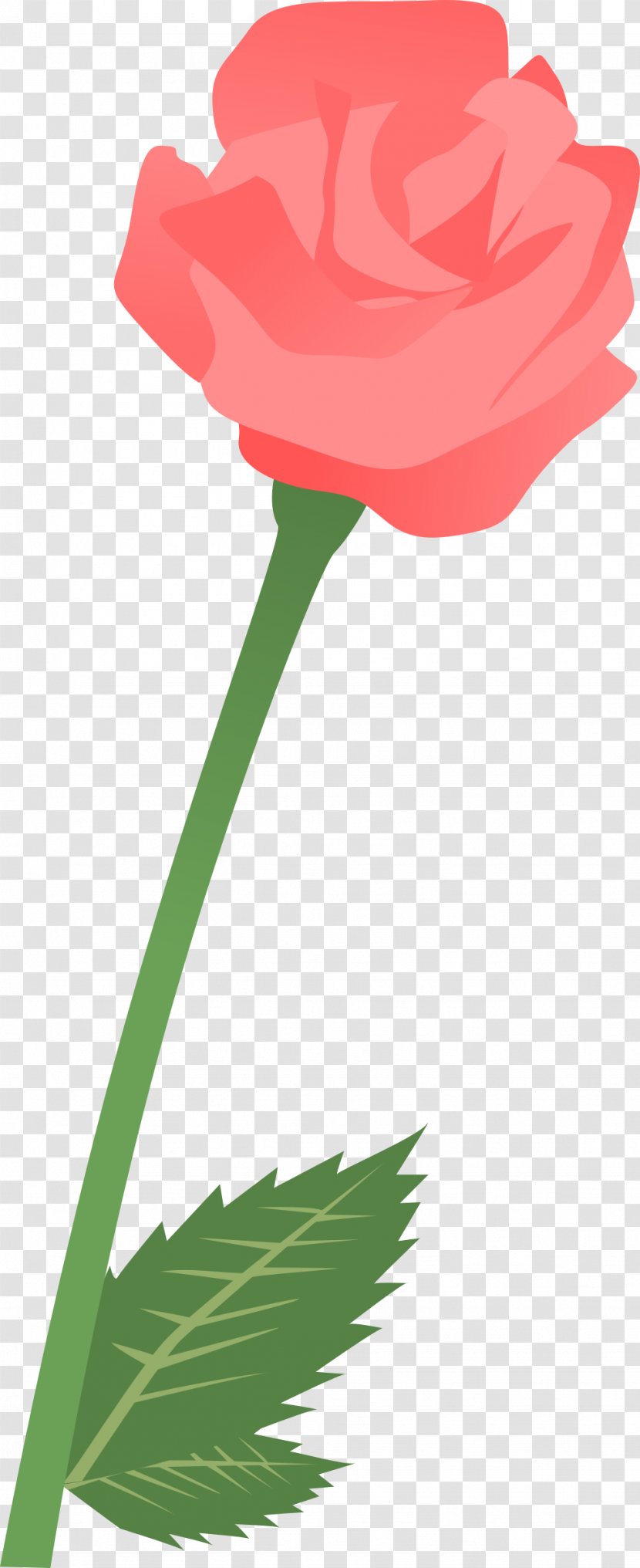 Garden Roses Clip Art Tulip Carnation Petal - Flowering Plant Transparent PNG