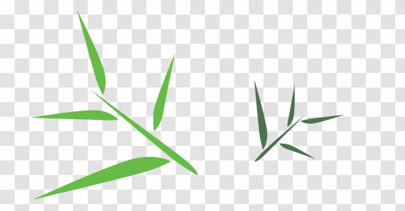 Green Leaf Angle Font - Grass Family - Bamboo Free Download Transparent PNG