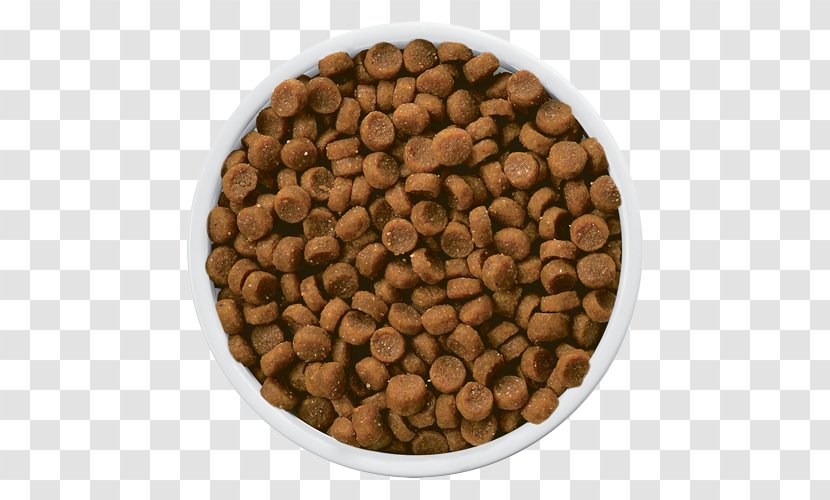 Cat Food Dog Hill's Pet Nutrition Kidney Transparent PNG