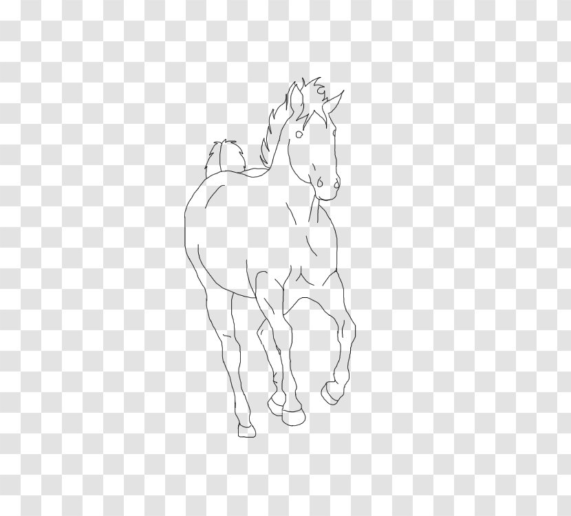 Mane Pony Foal Halter Mustang - Monochrome Photography Transparent PNG