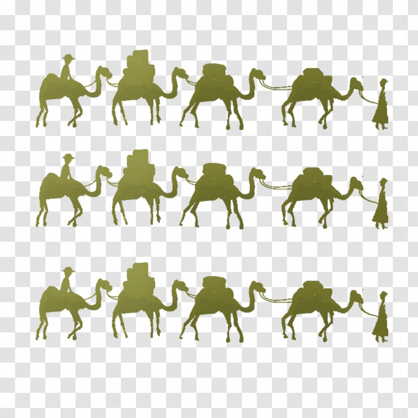 Camel One Belt Road Initiative Horse Maritime Silk - Grayscale - Lot Transparent PNG