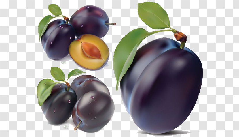 Plum Clip Art - Food - Image Transparent PNG