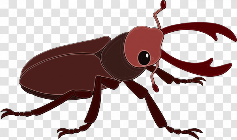 Insect Scarabs Cartoon Pest Pollinator Transparent PNG