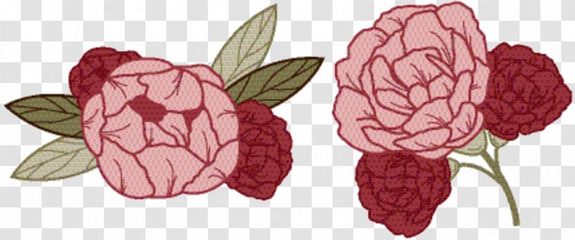 Pink Flower Cartoon - Fruit - Raspberry Food Transparent PNG