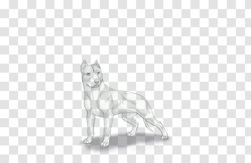 Dog Breed American Pit Bull Terrier Whiskers Papillon - Bullfrog Transparent PNG