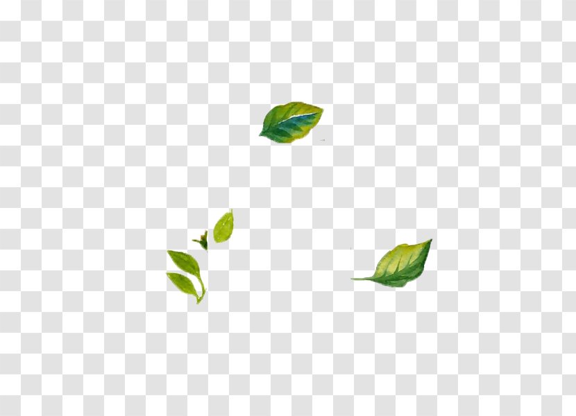 Leaf Design Image Adobe Photoshop - Plant Stem - Foliage Transparent PNG