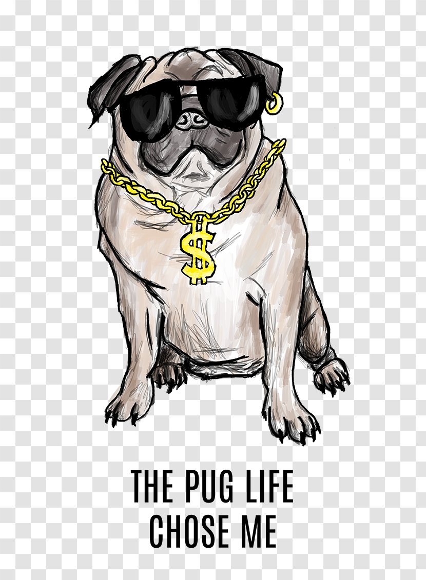 Pug All Cappuccino Cafe Blaumaņa Street Dog Breed - Snout Transparent PNG