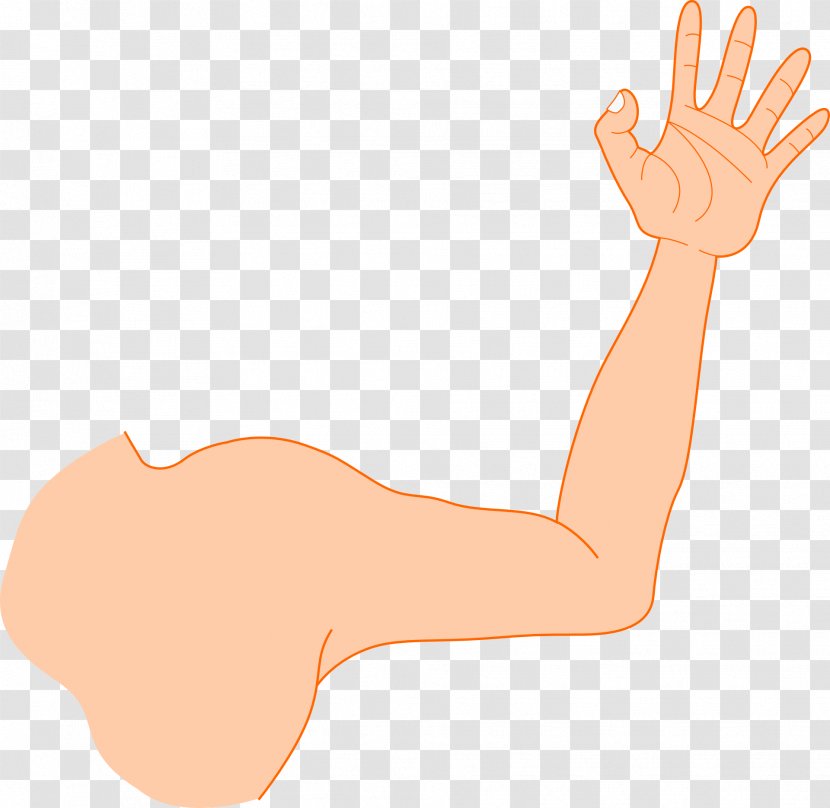 Arm Muscle Clip Art - Silhouette - Strong Man Transparent PNG