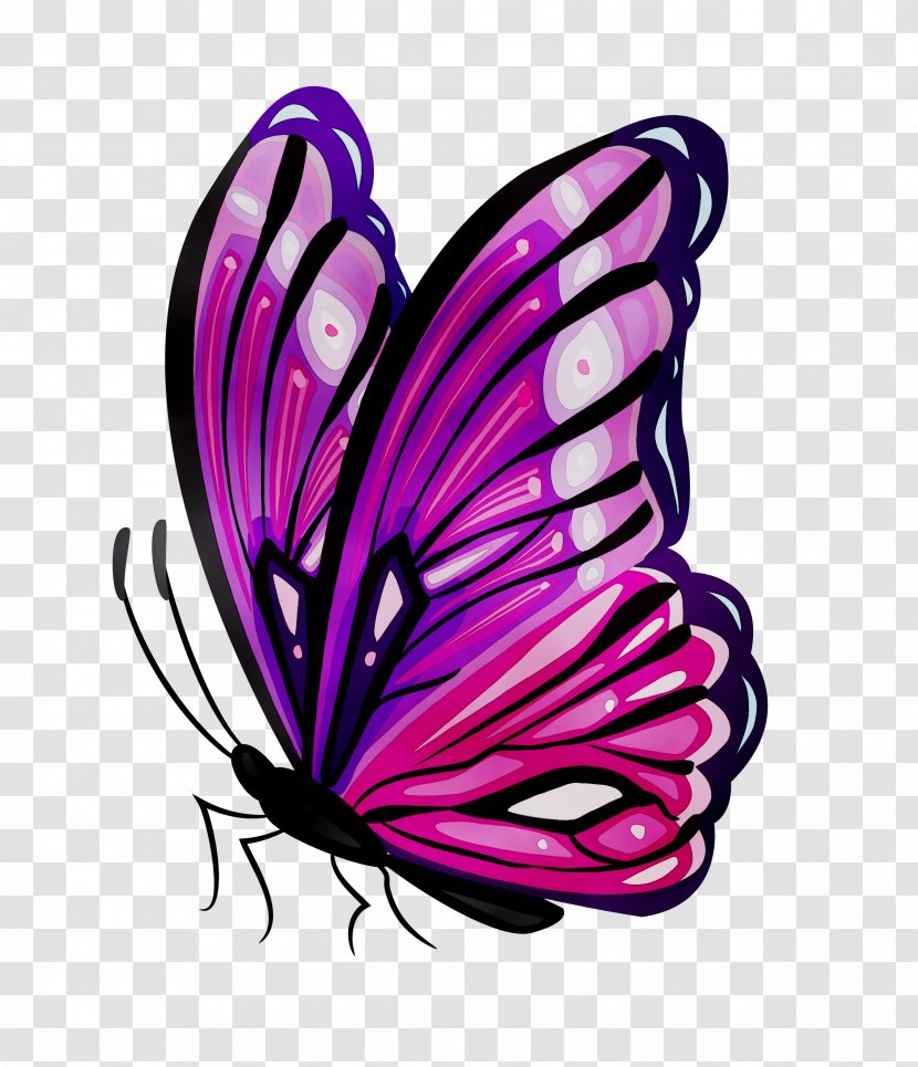 Temporary Tattoos Body Art Abziehtattoo Sticker - Brushfooted Butterfly Transparent PNG