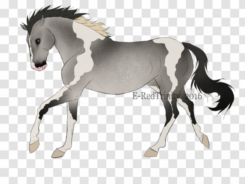 Mane Foal Stallion Mustang Mare - Horse Tack - Pastures Transparent PNG