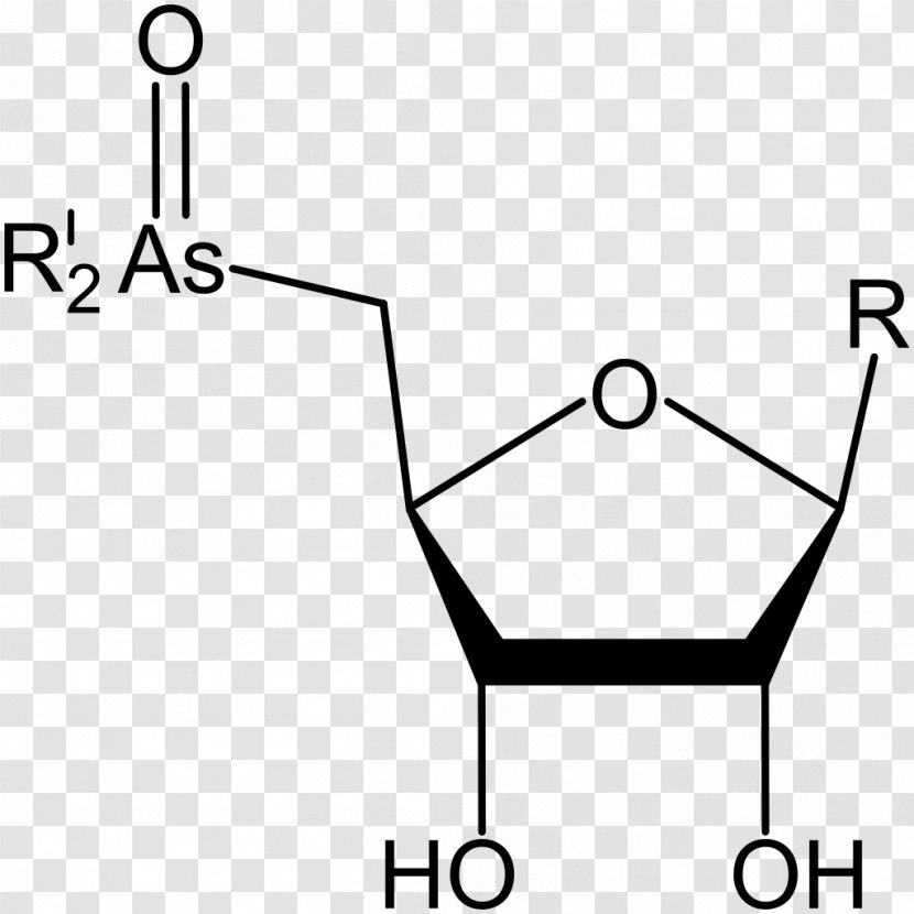Caprylic Acid S-Adenosyl Methionine Glucaric - Glucuronic - Oars Transparent PNG