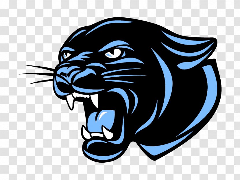 Tiger Leopard Carolina Panthers Lion - Flower - Bigger Harder Fight Win Transparent PNG