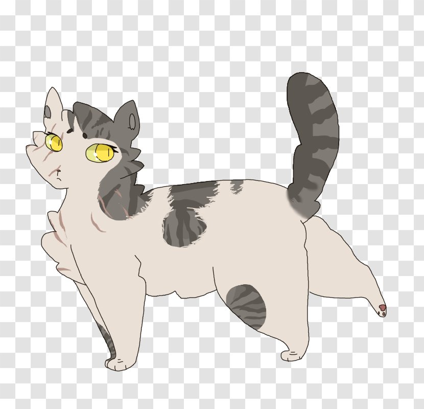 Whiskers Dog Cat Illustration Cartoon - Paw Transparent PNG