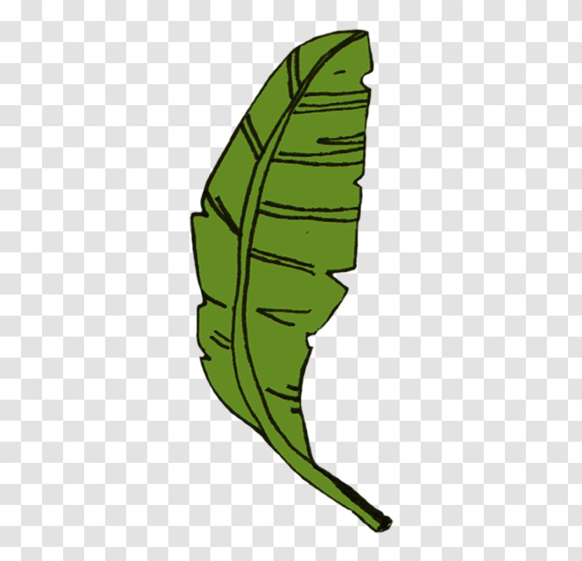 Clip Art Sri Lanka Appam Leaf Image - Green - Curry Kari Pickle Transparent PNG