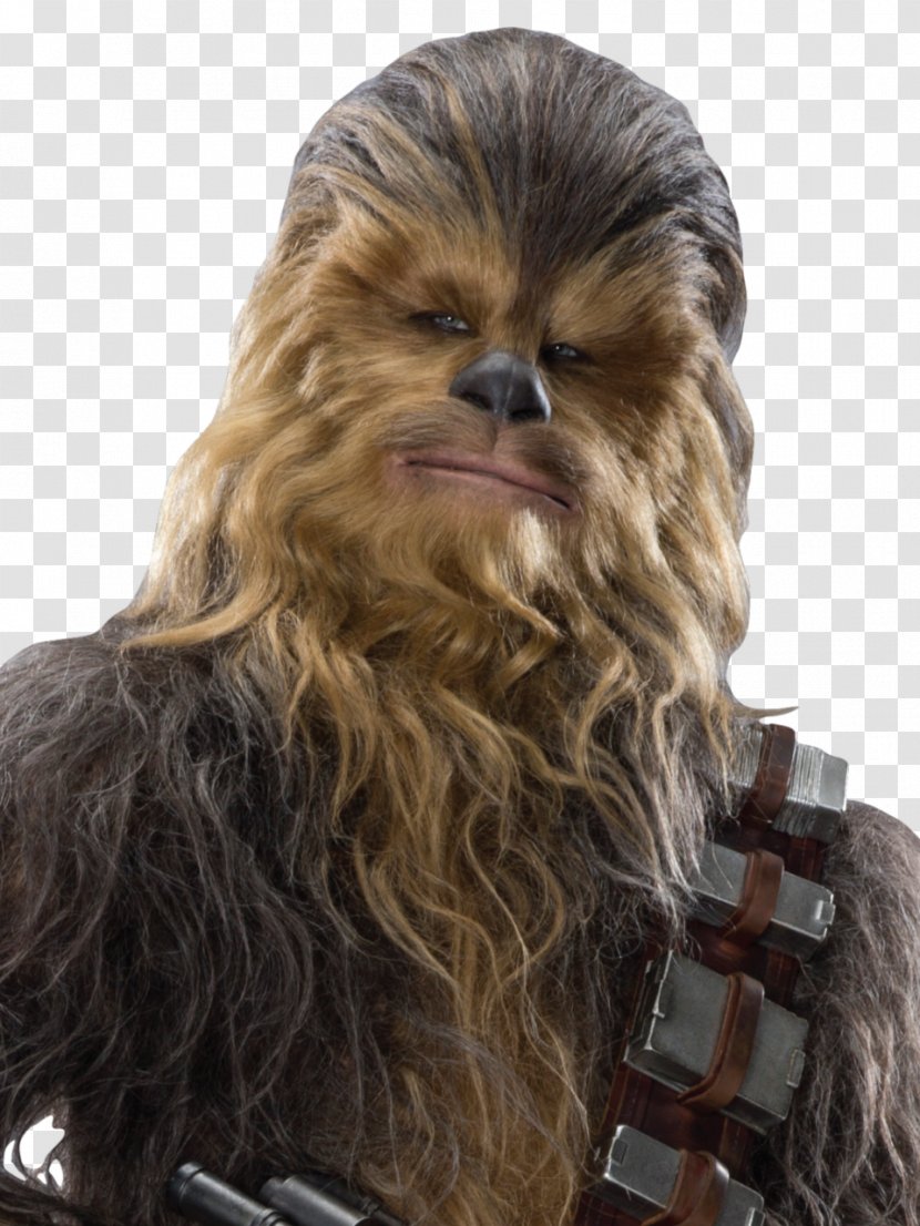 Chewbacca Han Solo Star Wars Sequel Trilogy Wookiee - A Story Transparent PNG