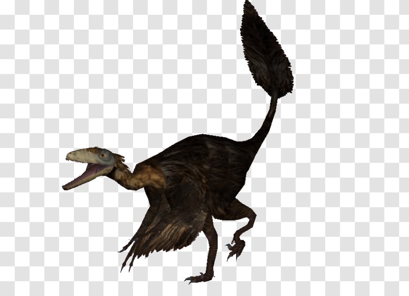 Anatidae Velociraptor Goose Cygnini Duck - Beak Transparent PNG