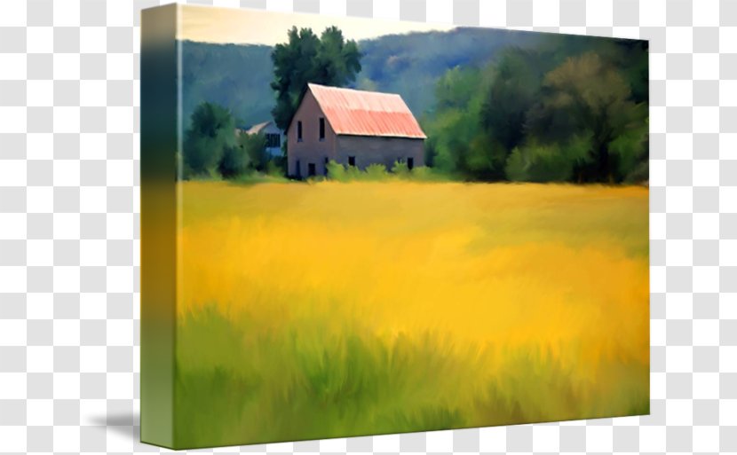 Painting Acrylic Paint Farm Grassland - Yellow - Mustard Field Transparent PNG