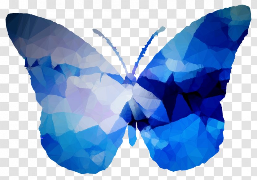 Art Facebook Symmetry Laptop M. Butterfly - Sleeve - Polygon Transparent PNG