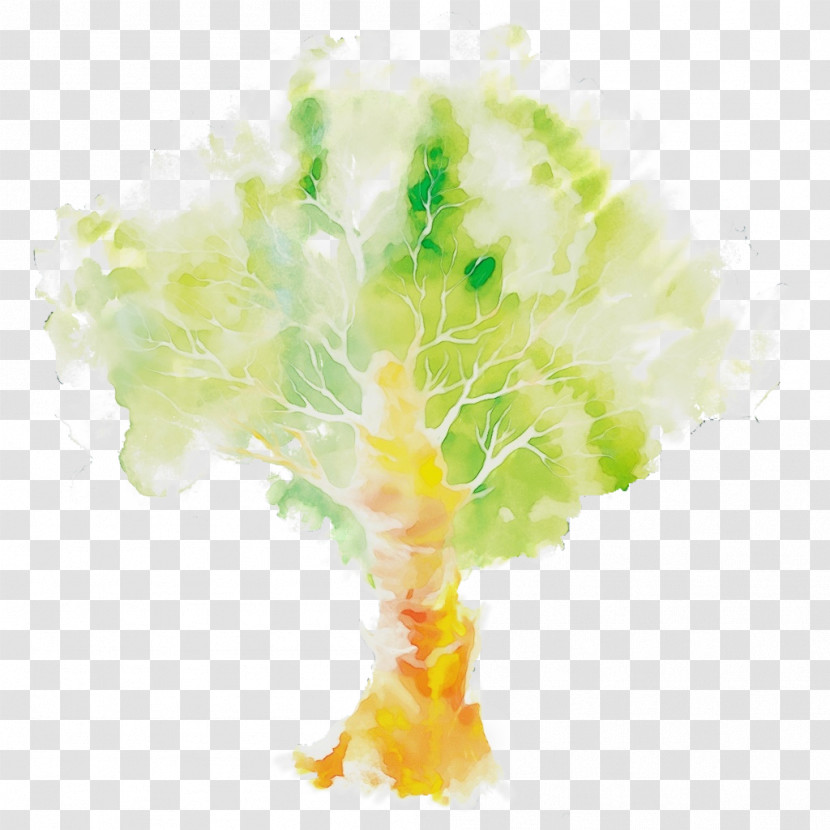 Tree Plant Watercolor Paint Transparent PNG