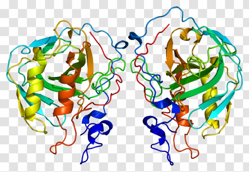 Carbonic Anhydrase 4 II Acid 9 - Watercolor - Flower Transparent PNG