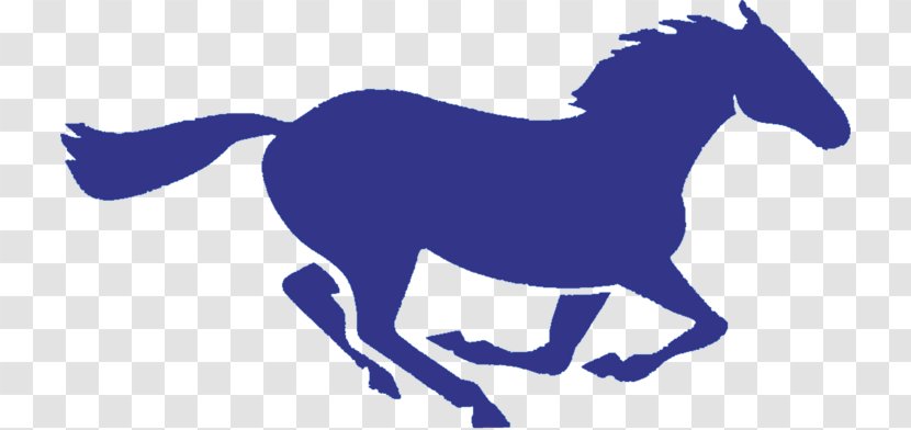 San Dieguito Academy Mustang National Secondary School Canyon Crest La Costa High - Equestrian Transparent PNG