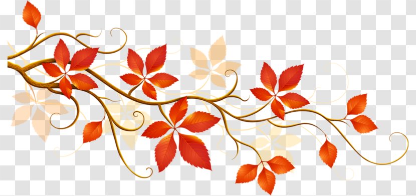 Autumn Leaf Color Flower Clip Art - Floristry - Maple Transparent PNG