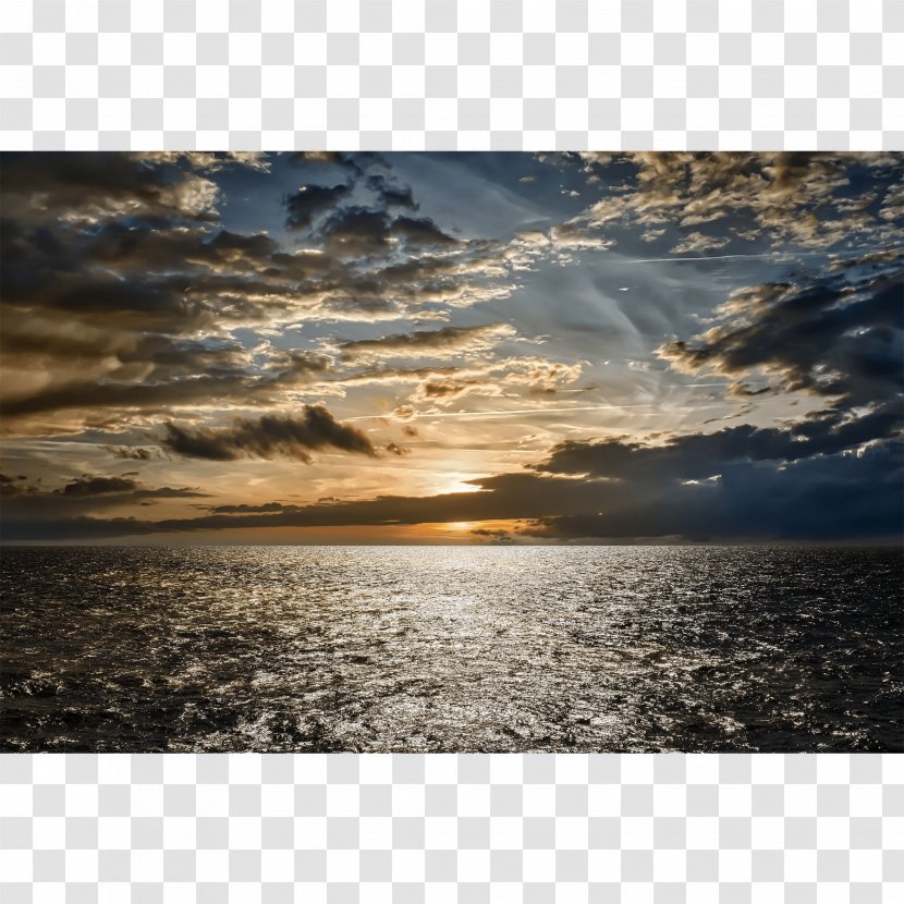 Art Museum Seascape Fine - Sunlight Transparent PNG