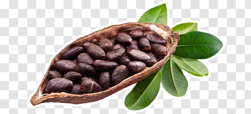 Cocoa Bean Antico Forno Di Garavaglia Fulvio & C. Snc Chocolate Bar Dietary Supplement Food - Superfood - Sugar Beet Transparent PNG