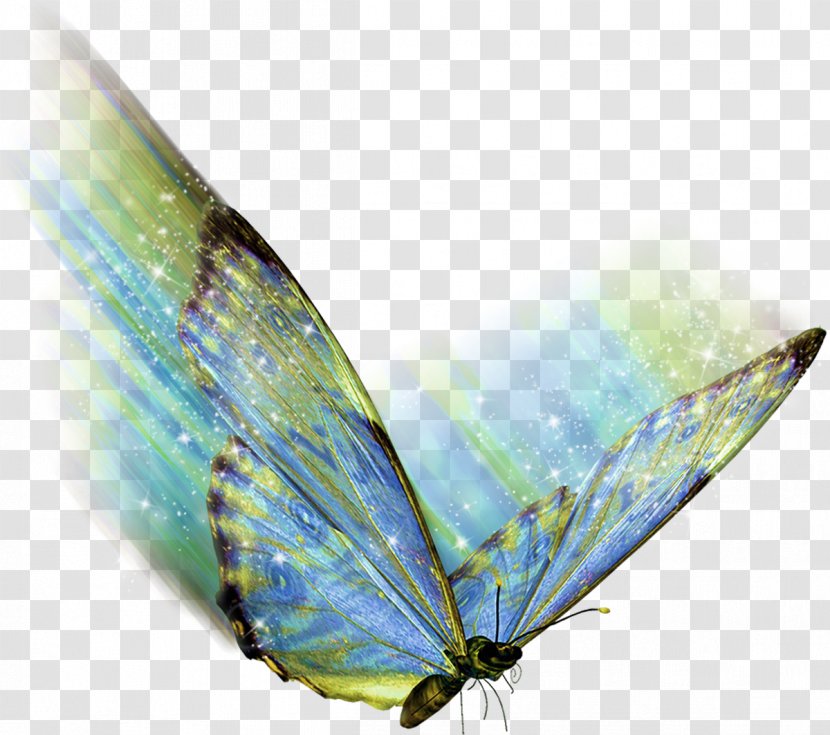 Butterfly .az .net .de .hu - Eau De Parfum - Watercolor Transparent PNG