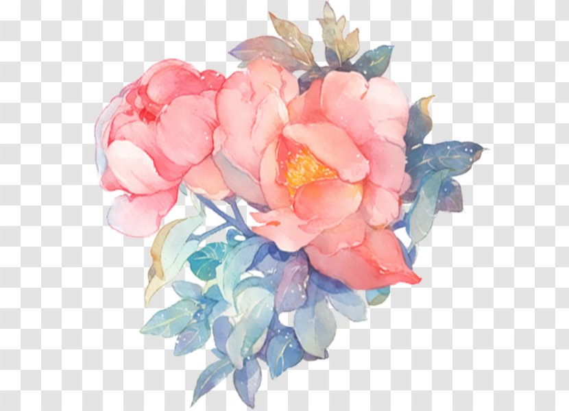 Watercolor Painting Flower White - Rose Family Transparent PNG