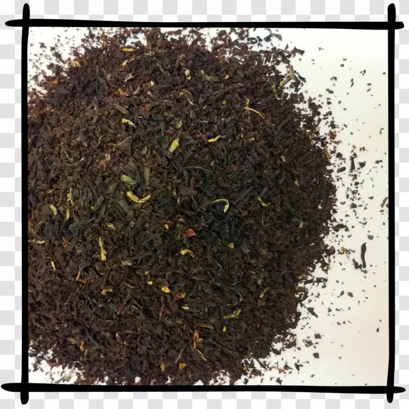 Nilgiri Tea Assam Earl Grey Gunpowder - Plant - English Breakfast Transparent PNG