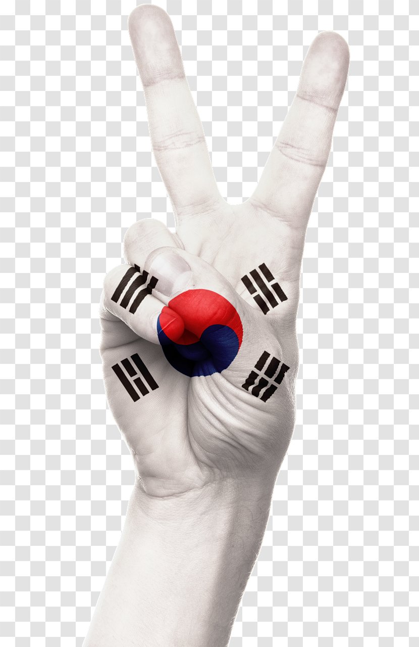 Flag Of South Korea North - Arm Transparent PNG