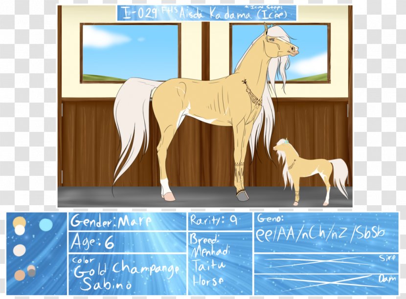 Pony Foal Mustang Stallion Colt Transparent PNG