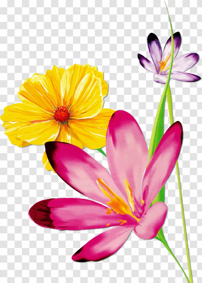 Watercolor: Flowers Watercolor Painting Floral Design - Rose - Flower Transparent PNG