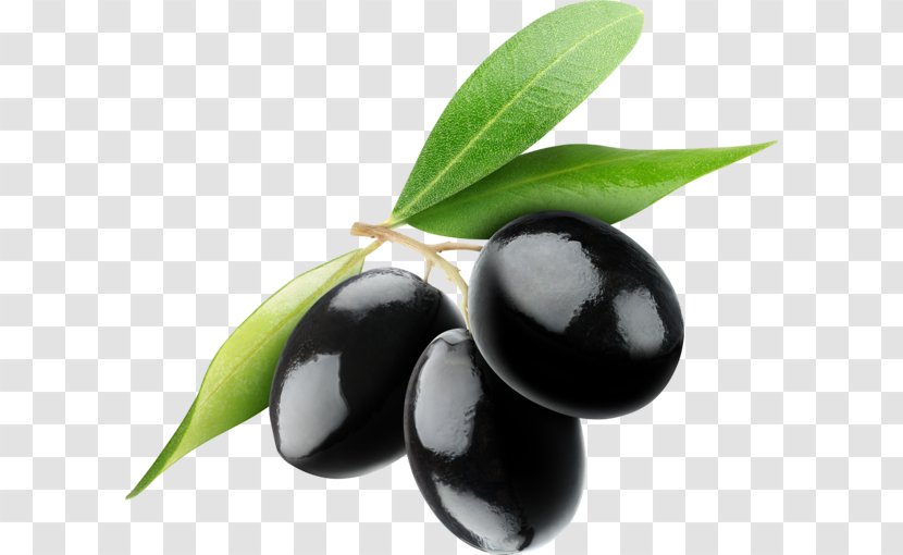 Mediterranean Cuisine Olive Oil - Plant Transparent PNG