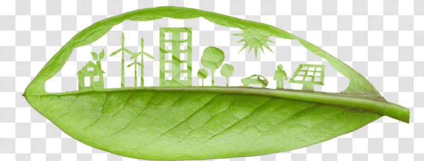 Sustainability Natural Environment Environmentally Friendly Conservation Environmental Protection - Sustainable Energy Transparent PNG