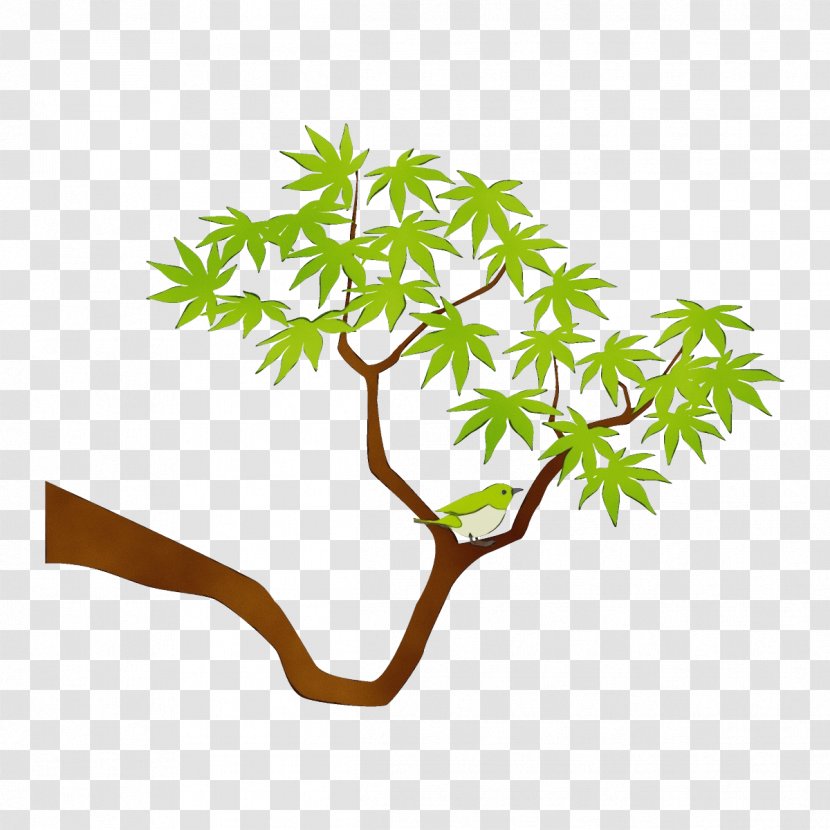 Leaf Branch Tree Plant Stem - Twig Flower Transparent PNG