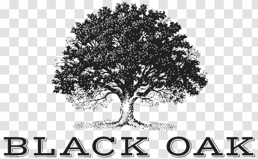 Black Oak Wine Cabernet Sauvignon Tree Logo - Business Cards Transparent PNG
