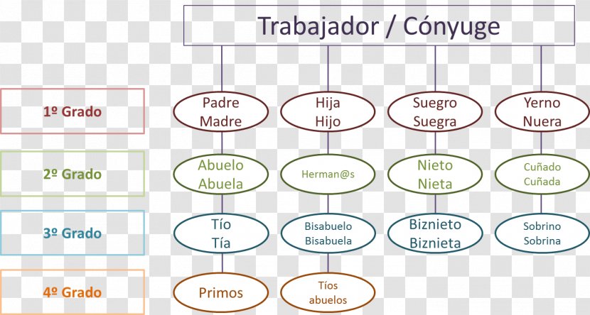 Organization Line Angle - Diagram Transparent PNG