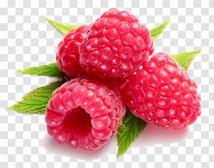 Raspberry Clip Art Blackberry Transparency - Food - Purpose Use Transparent PNG