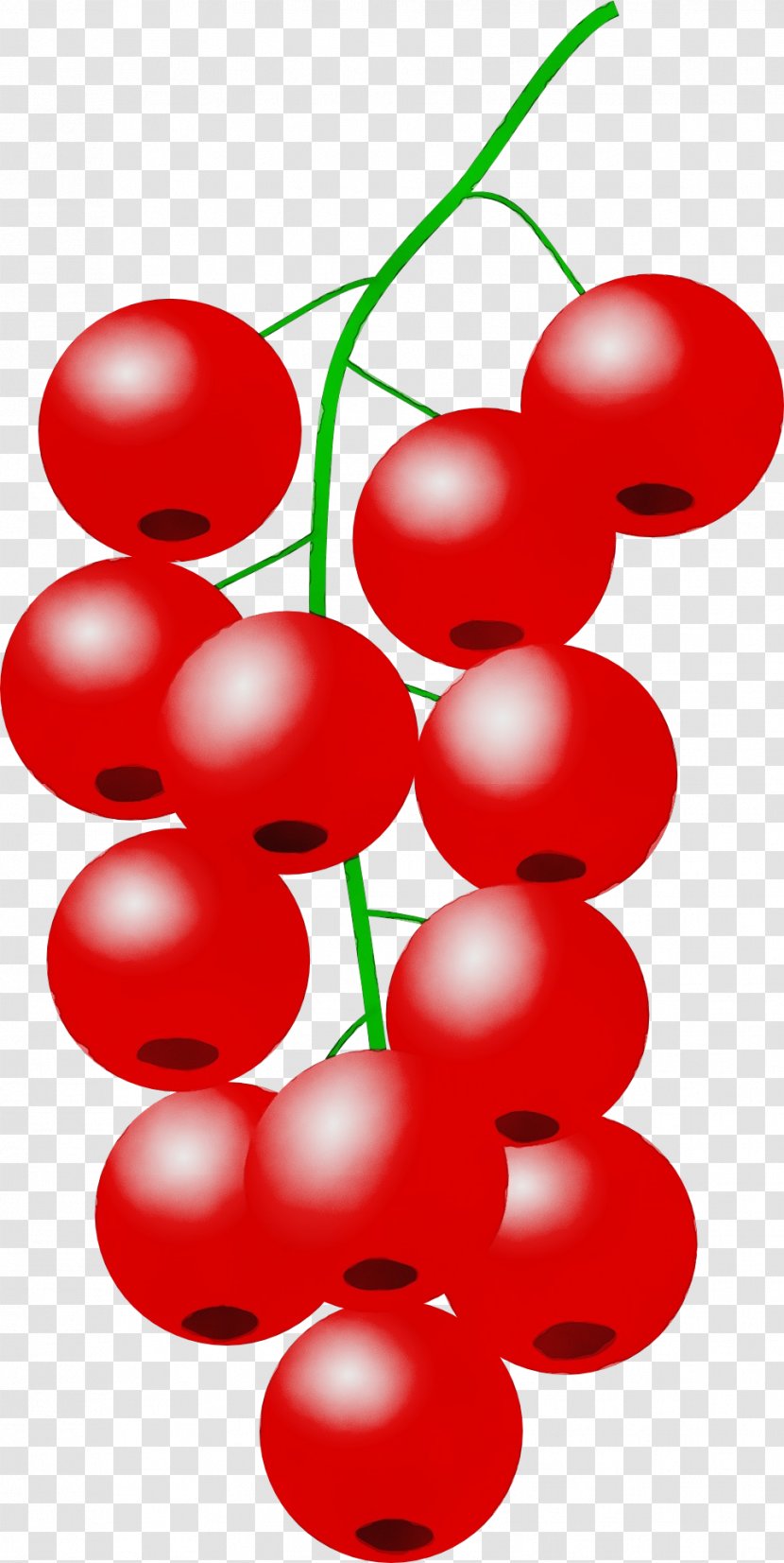 Red Clip Art Currant Fruit Plant - Paint - Cherry Lingonberry Transparent PNG