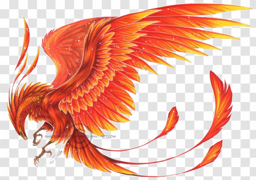 Phoenix Ibong Adarna Myth Clip Art - Chinese Mythology - Wings Transparent PNG